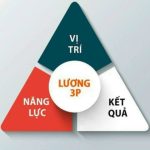 Lương 3P